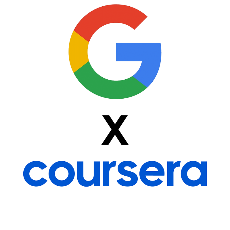 Google Data Analytics Professional Certificate